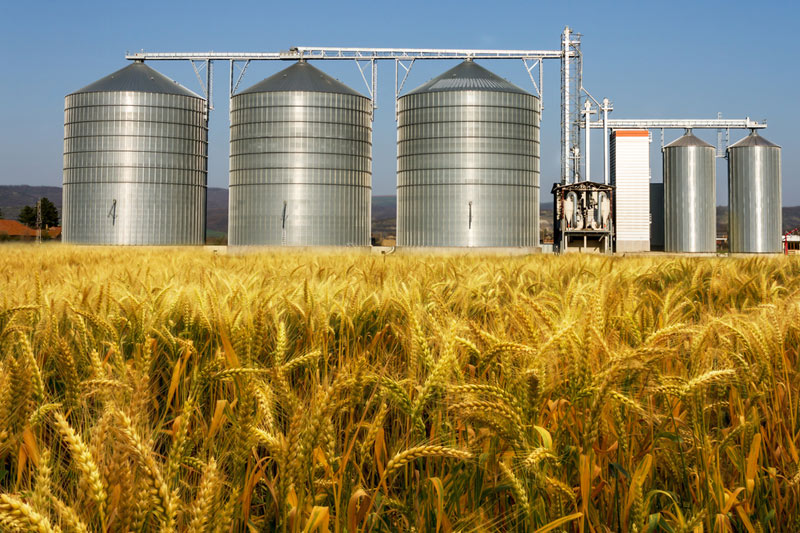 https://uk.investing.com/news/commodities-news/ukraine-envoy-asks-lebanon-to-reopen-probe-into-alleged-stolen-grain-2707519